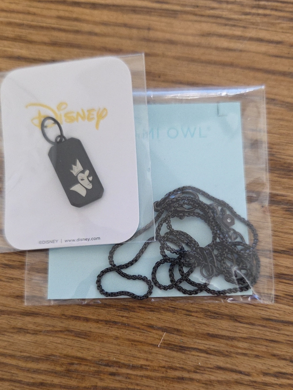 Origami Owl Black Disney Pendant Tag and Chain - EVIL QUEEN